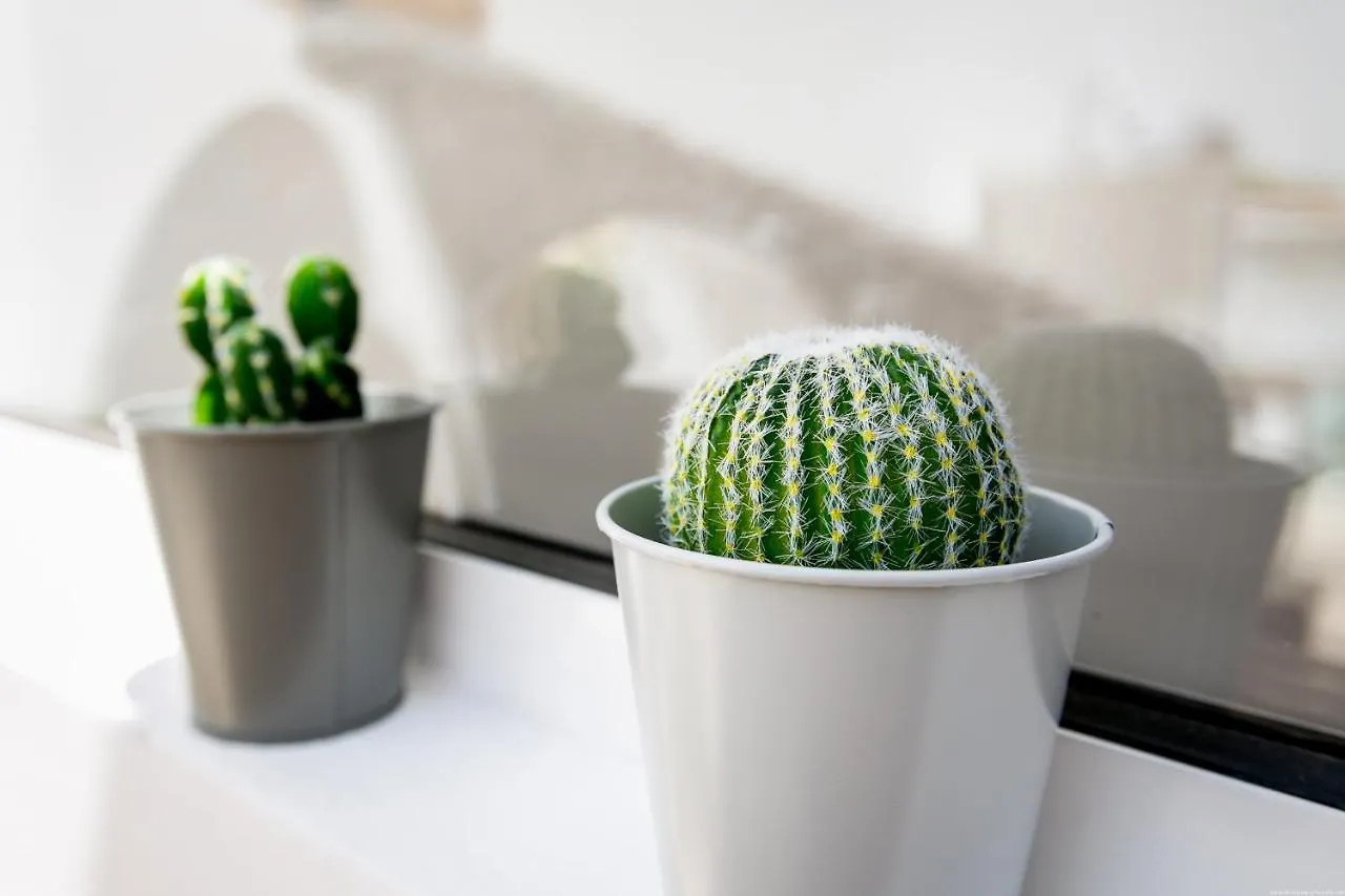Cactus Apartment San Miguel de Abona